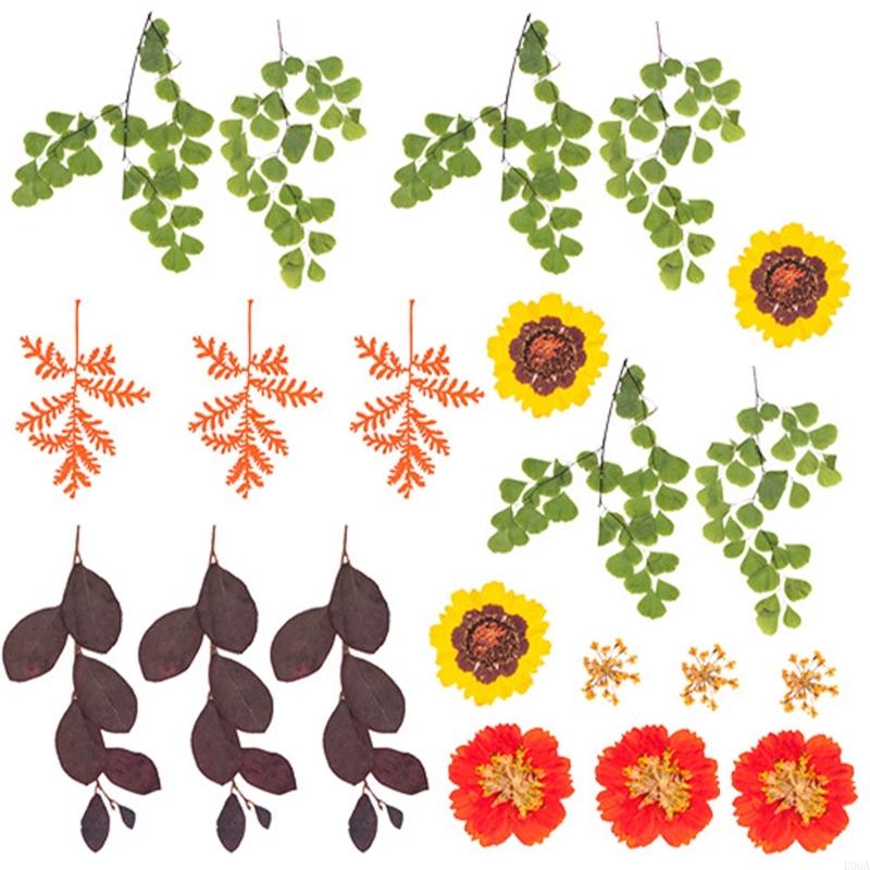 Fleur pressée séchée pour moul - Art Craft Leaves avis et prix