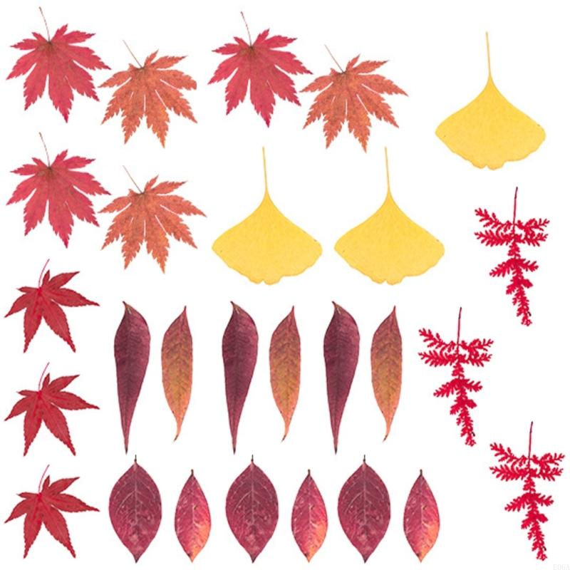 Fleur pressée séchée pour moul - Art Craft Leaves avis et prix