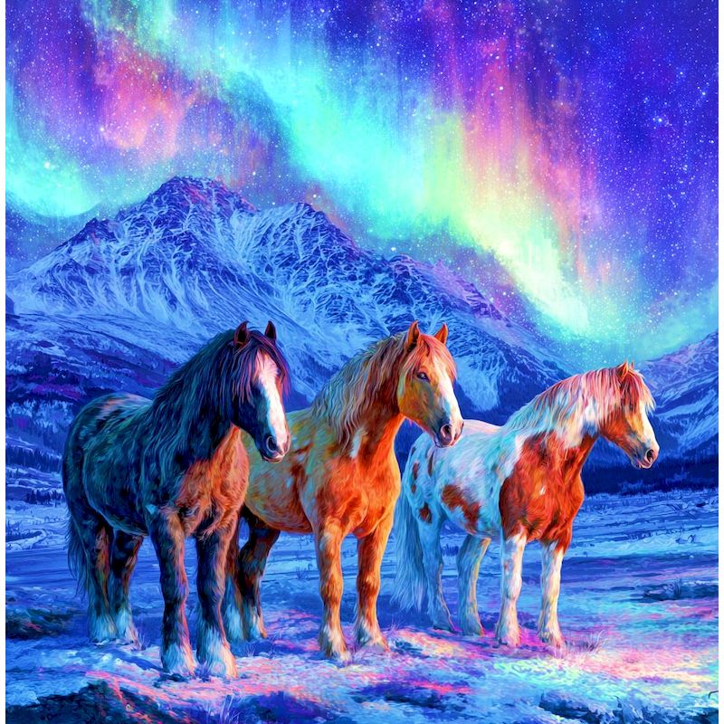 RUOPOTY Peinture Diamant Cheva - Art Craft Room Ideas avis et prix
